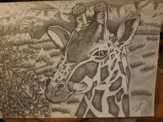 My latest drawing.