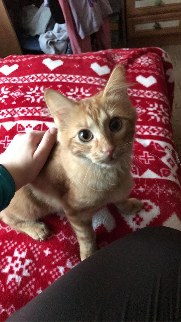 My little boy Ray