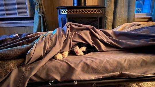 my little sleeping buddy, was told this was a place to post 🥰