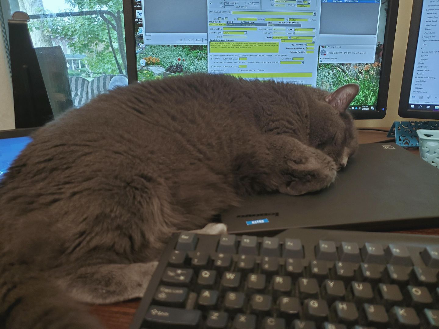 My Mom's Current Workstation