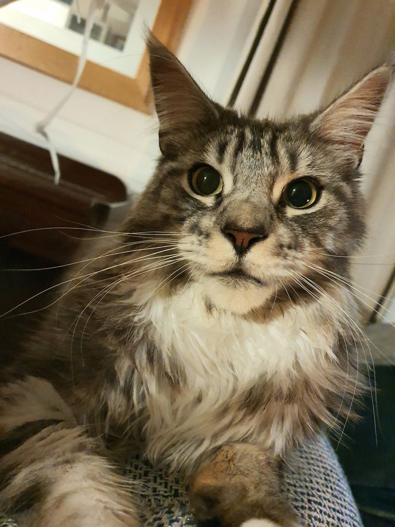 My most beautiful big eyed best friend