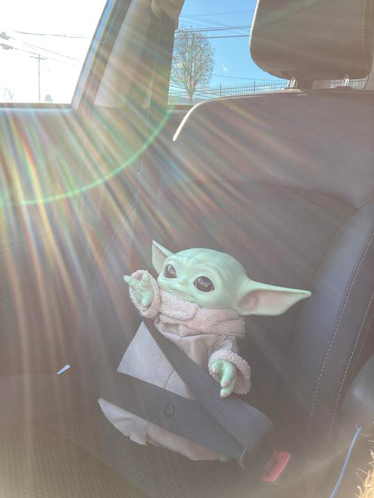 My pal driving to my COVID test with me for moral support