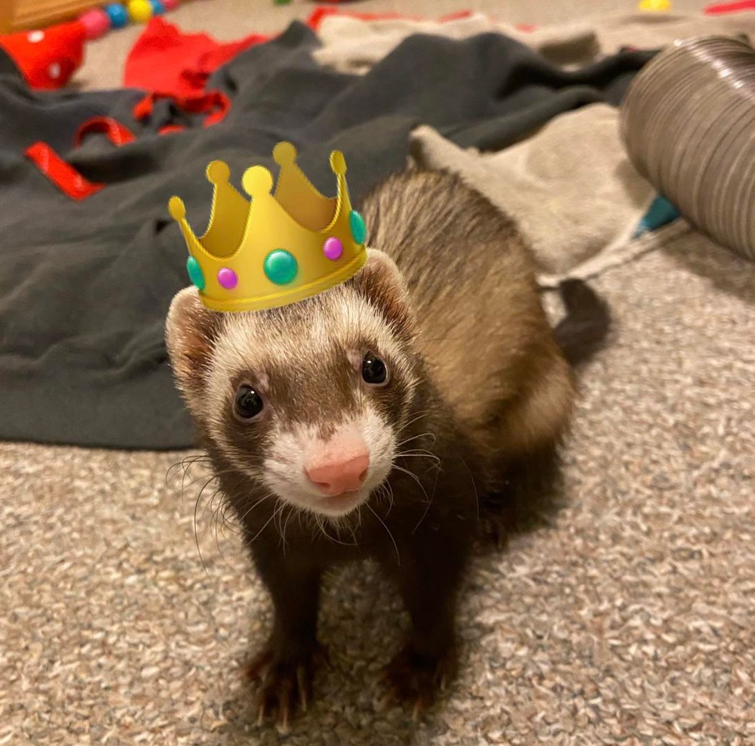 My Queen 👑❤️🥺