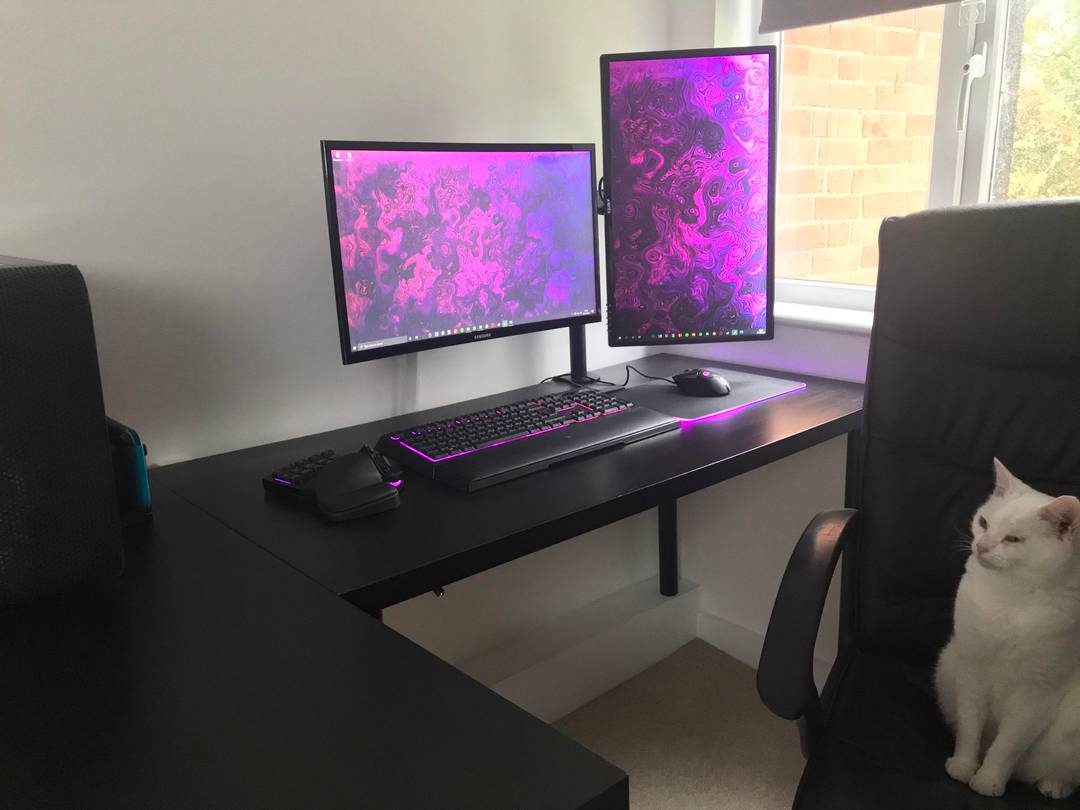 My setup with special guest