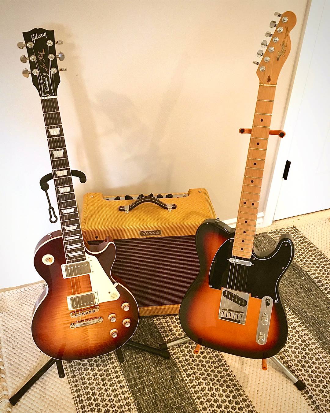 My tele &amp; his new baby brother