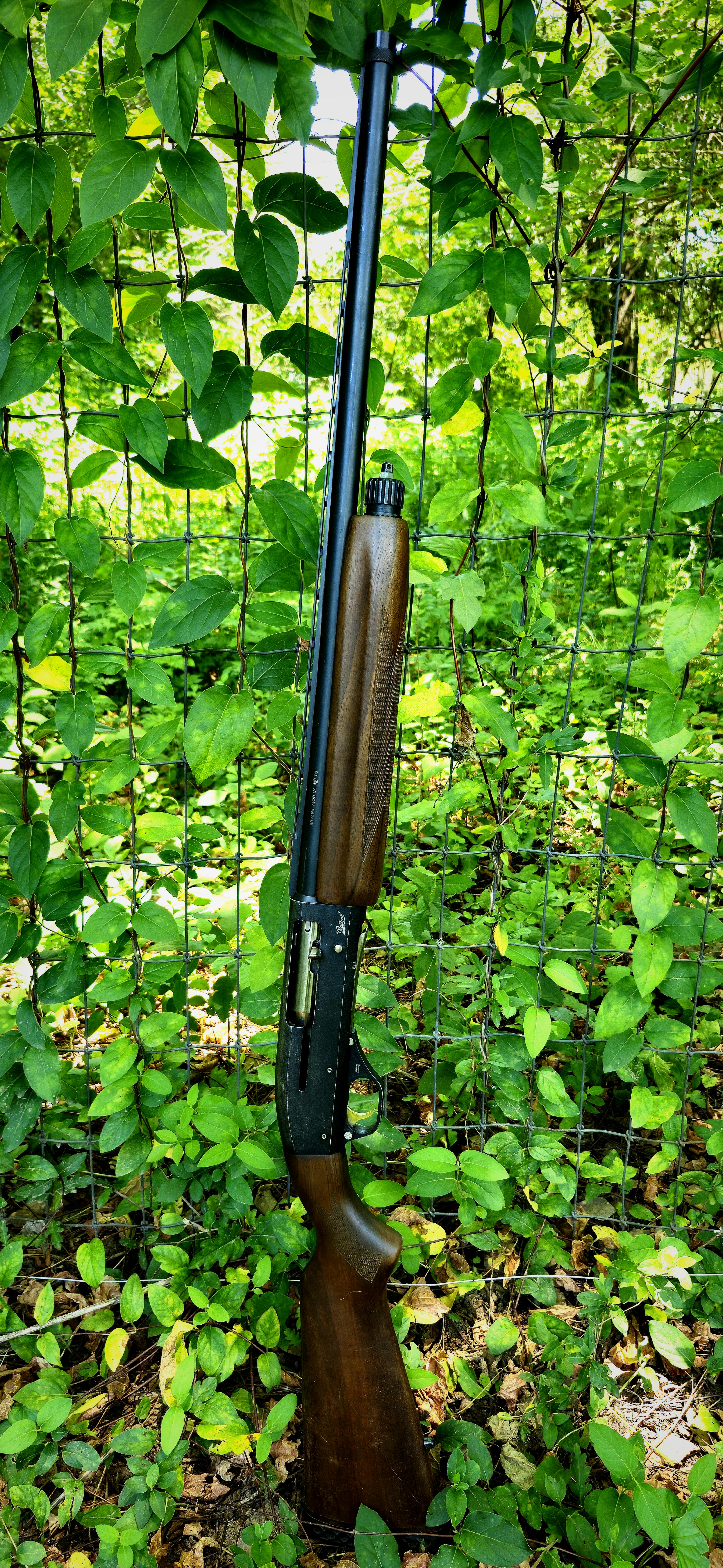 My unique find of the month. A Baikal MP-153 w/ 3.5" chamber