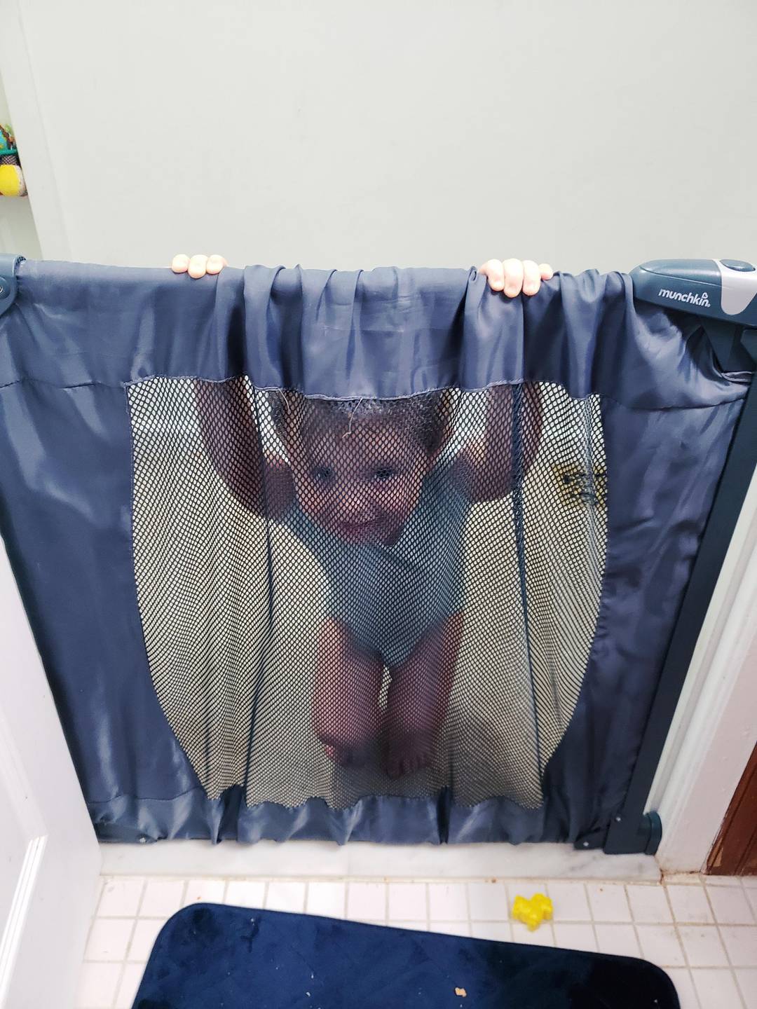 My View While Pooping