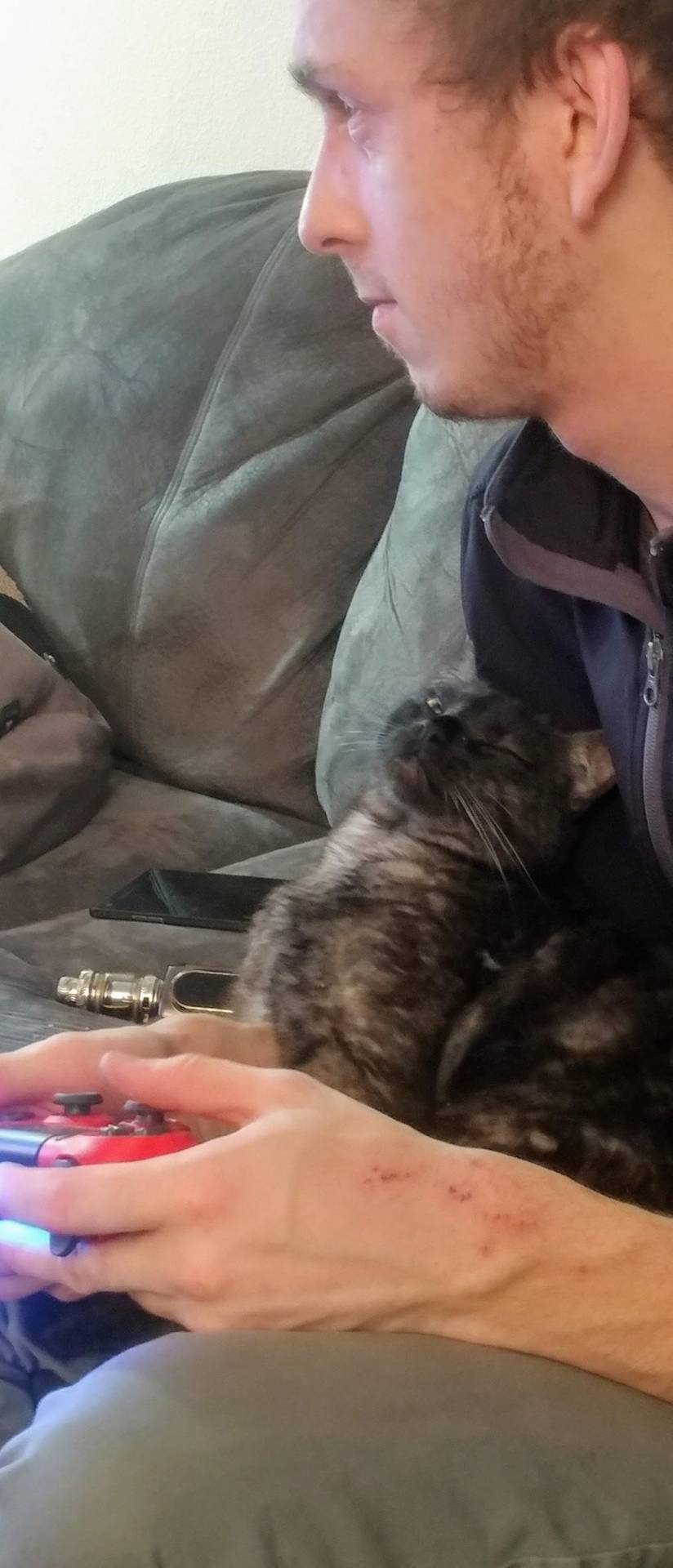 My weirdo cat mirin my roomie