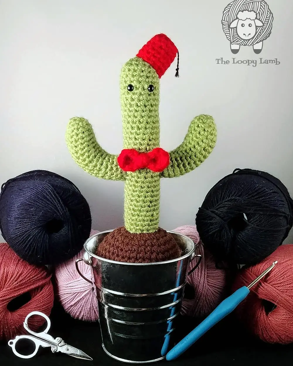 My wife crochets characters as cacti (cactuses?) - she just made this version of the Eleventh Doctor