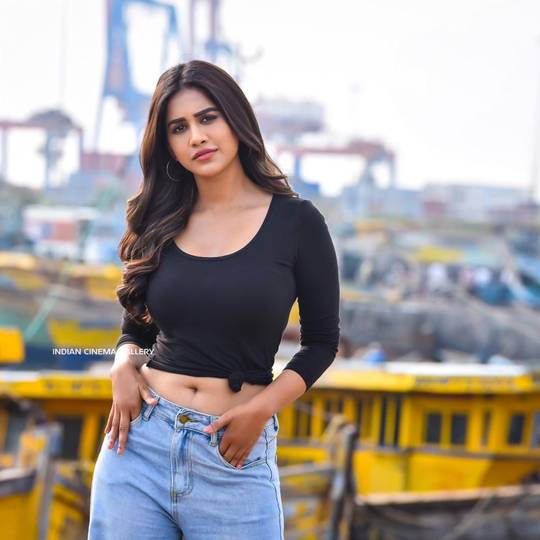 Nabha-Natesh-latest-photo-shoot