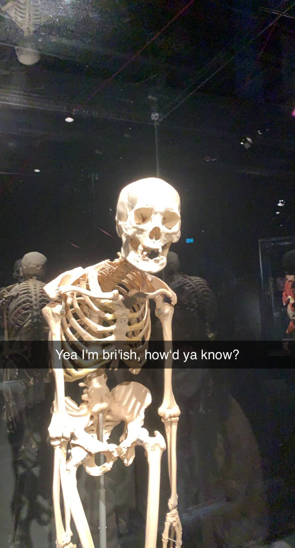 Naykit mann 🤭😎🤏🏻