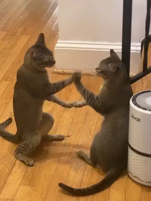 Neo, from Matrix, in training.