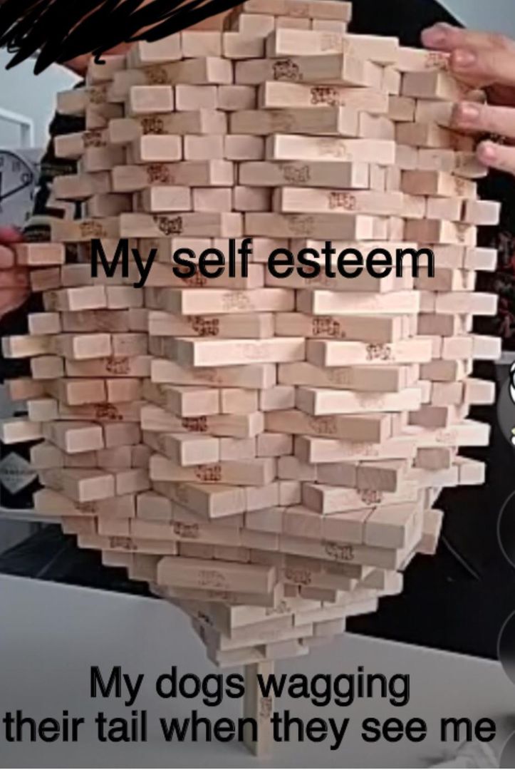 Reddit live is a goldmine