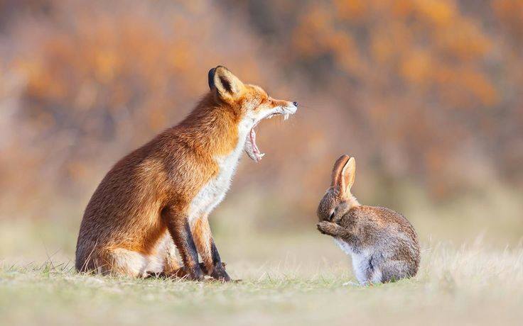 Nick, you're embarrassing me!