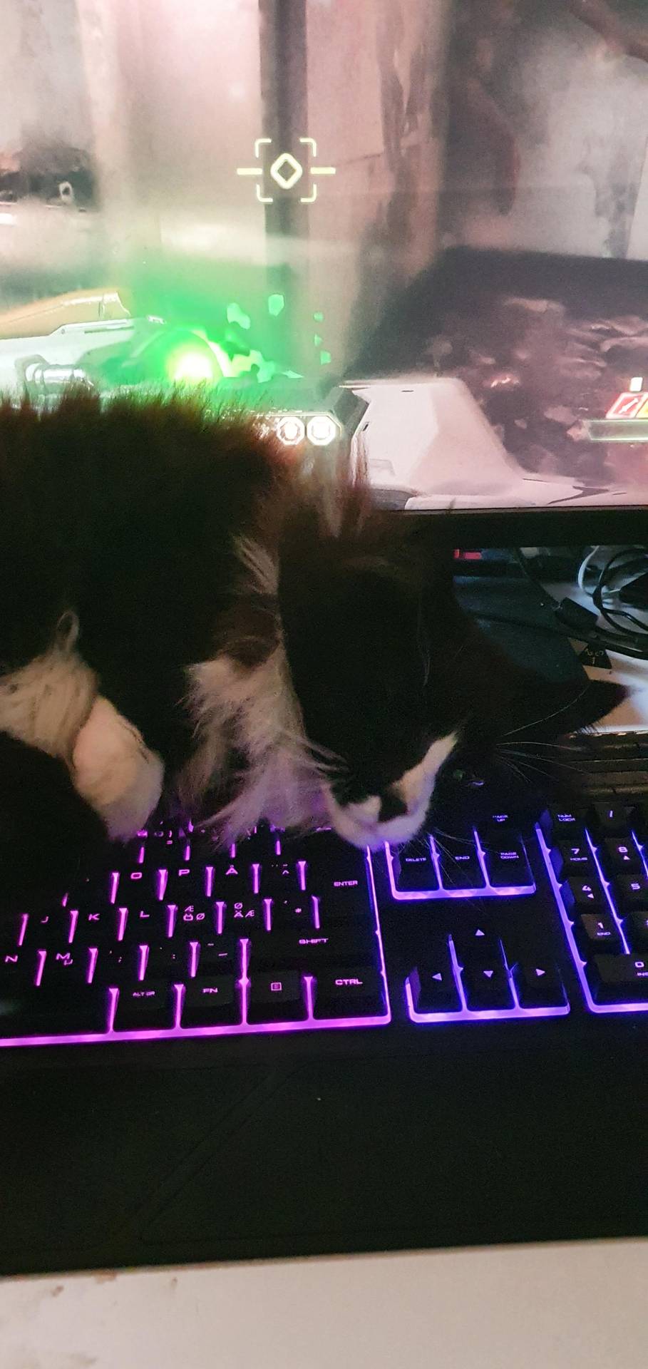 No computer for you