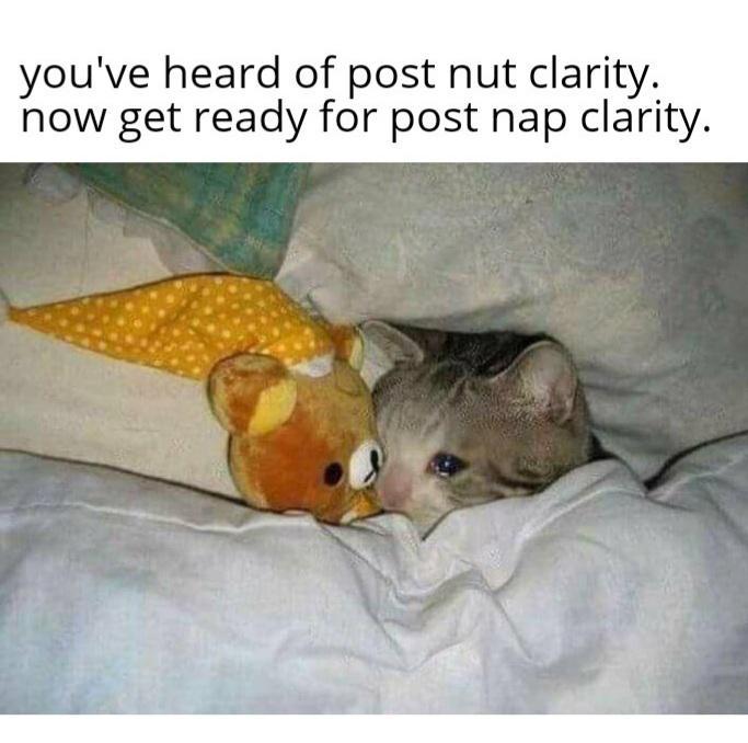 No, I wanna go back to sleep, thank you