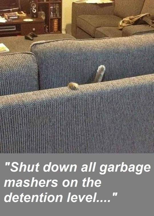 No, shut them all down!