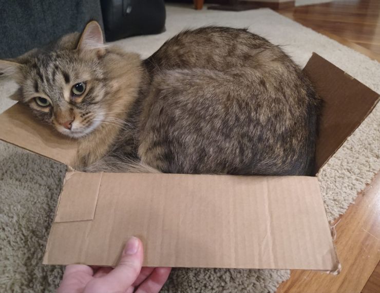 No trap too small