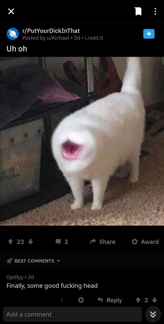 Noah? Destroy everything!