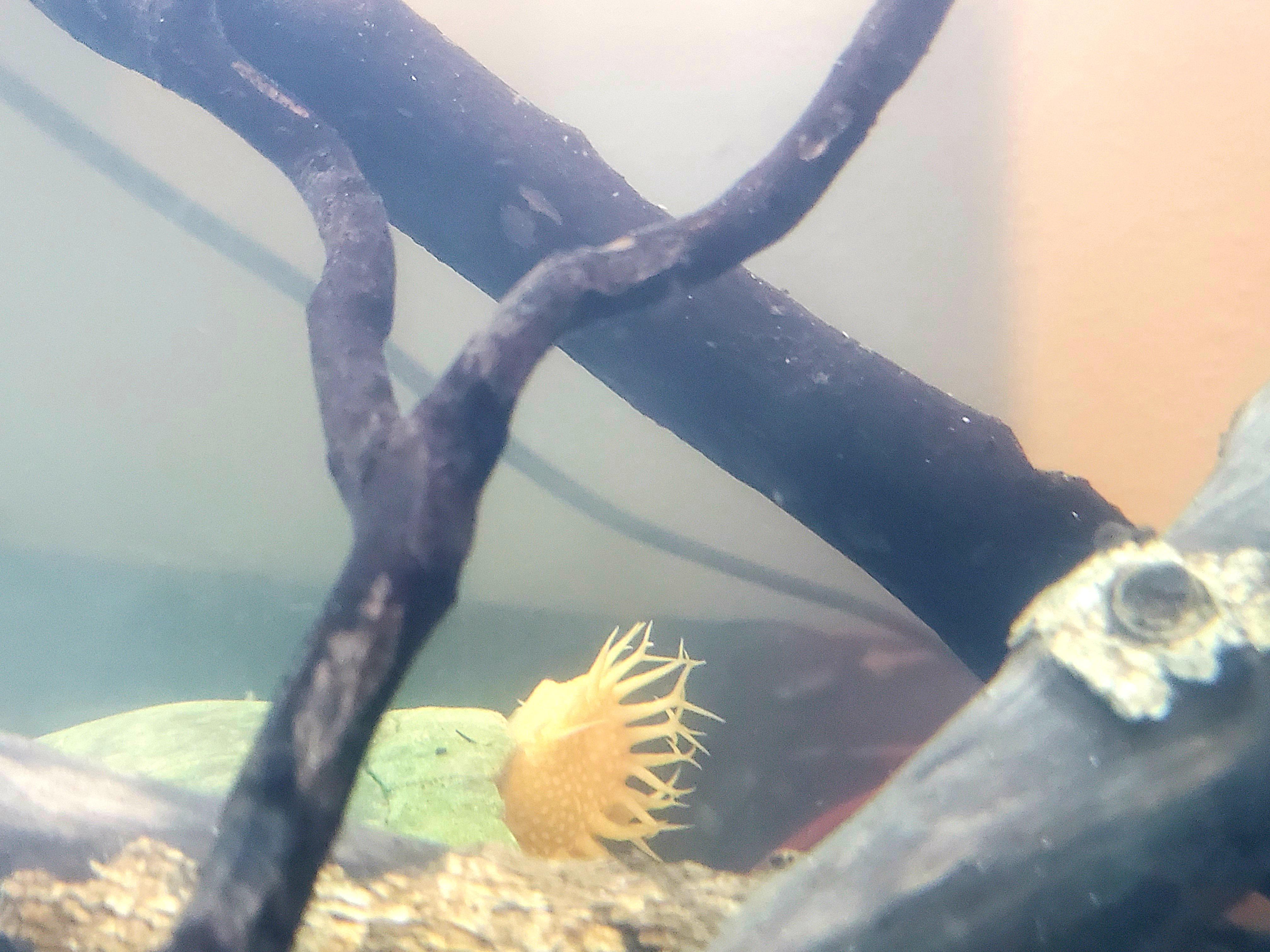 Nothing wrong with being a bit weird | Scrolller