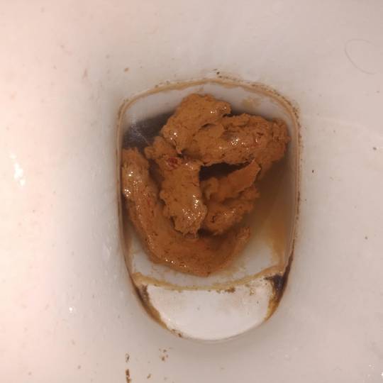 Now this is a good looking poop💩💩