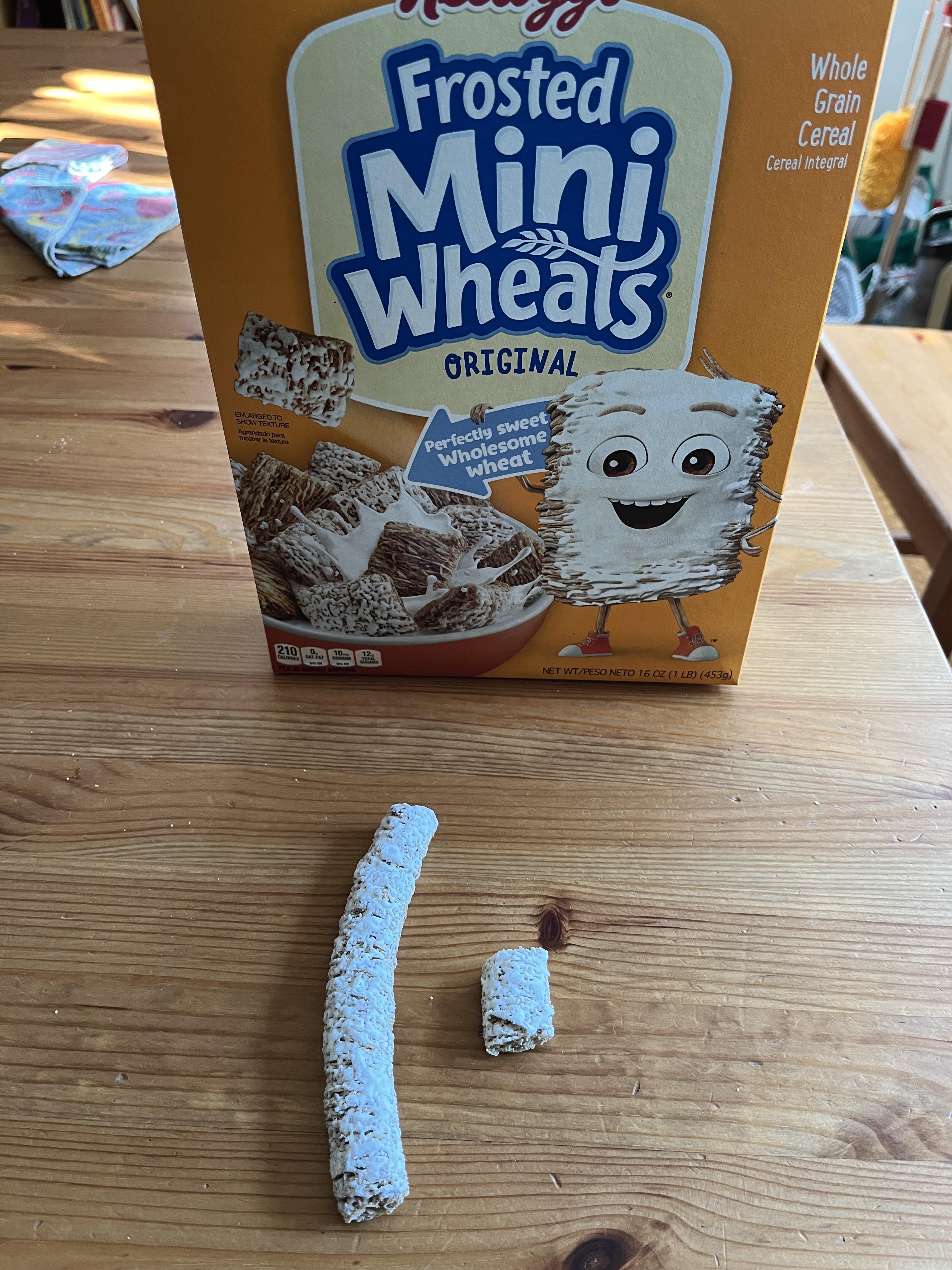 of a mini wheat