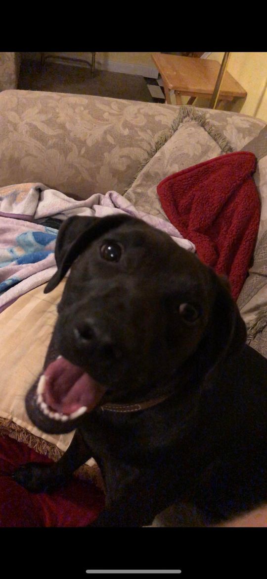 Oh HEEEYYYYYY!