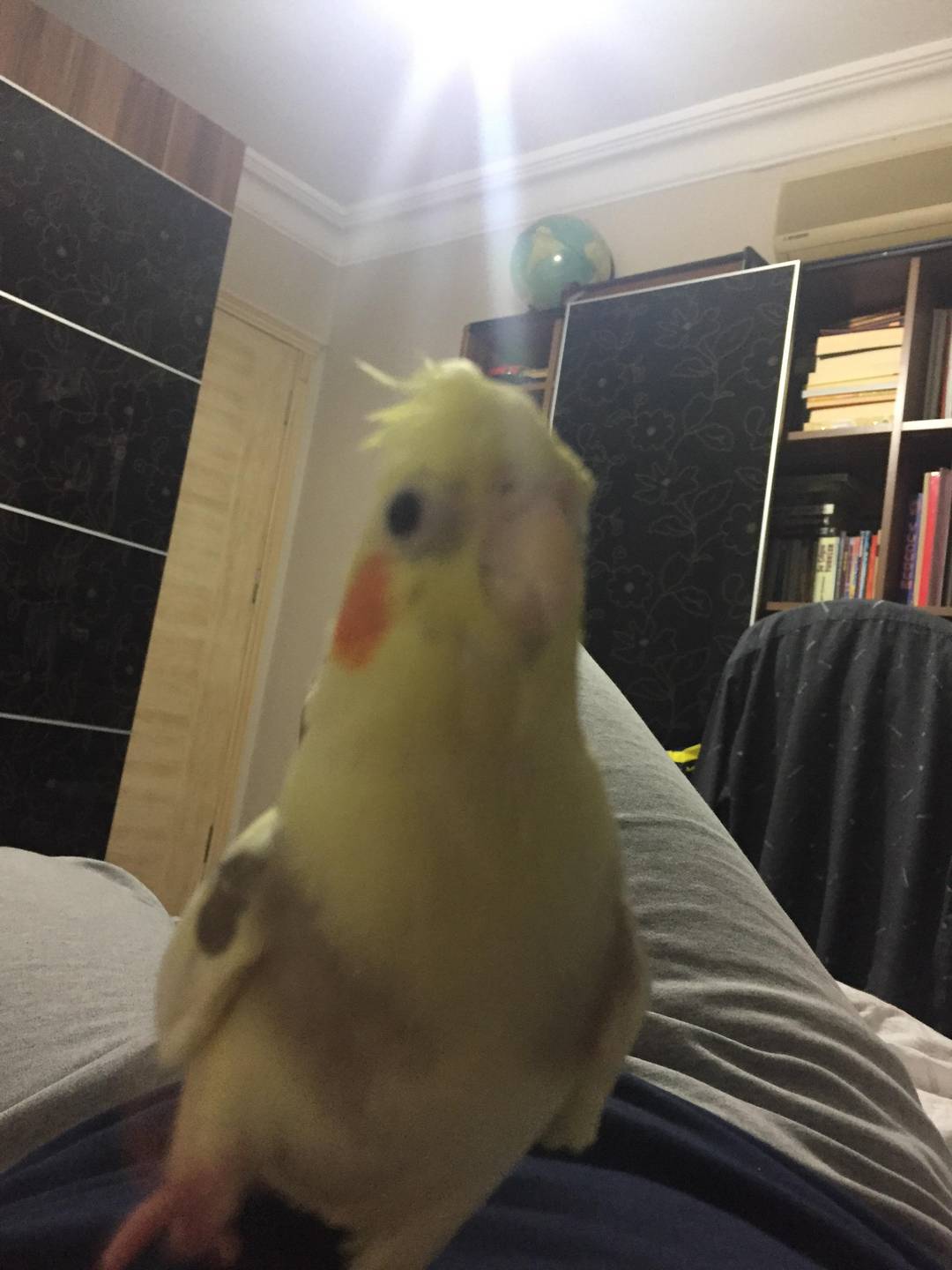 Oh lawd he comin