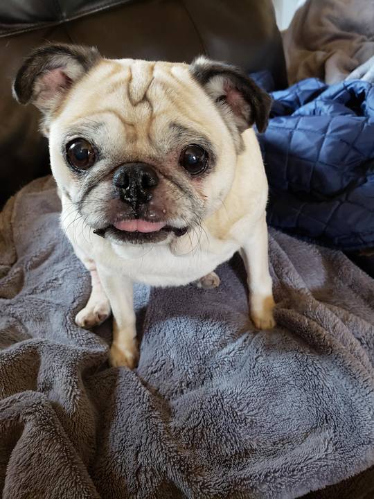 Our Lulu