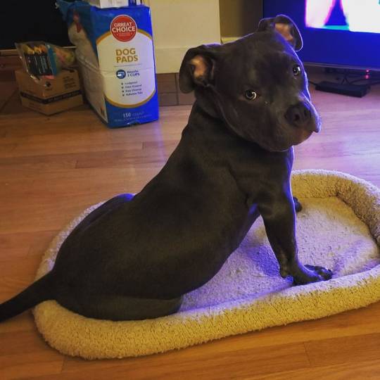 Paint me like one of your French girls.
