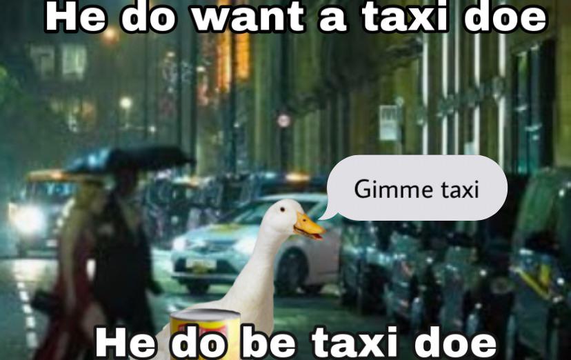 Part 3 of this duck (name him)