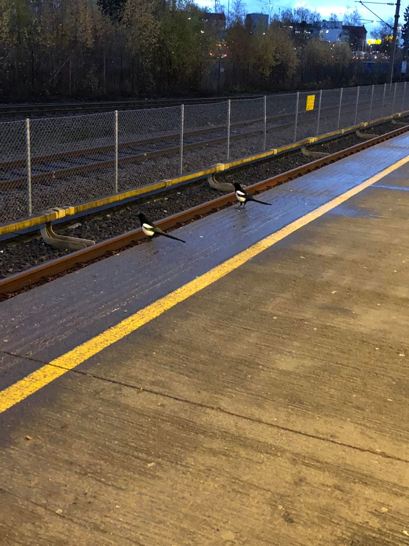 Patient waiting for the train