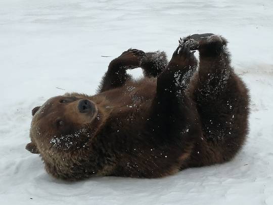 Paws to paws!