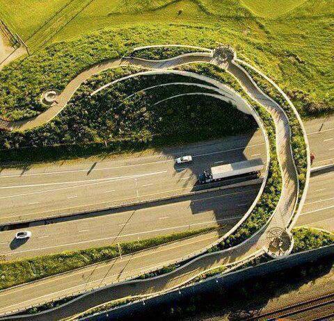 Pedestrian Bridge