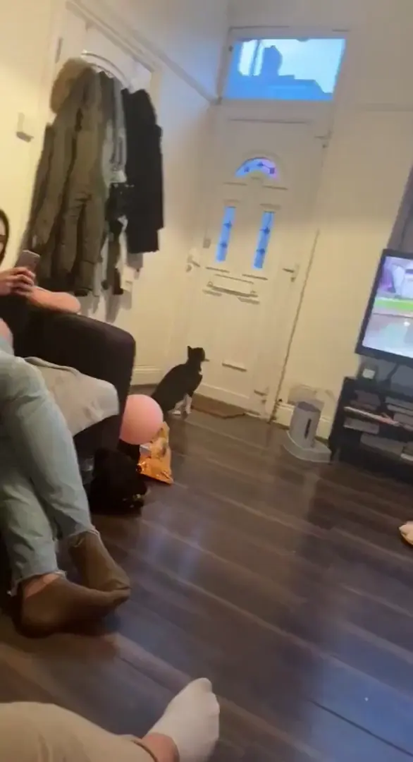 Perfectly executed jump, quick maths