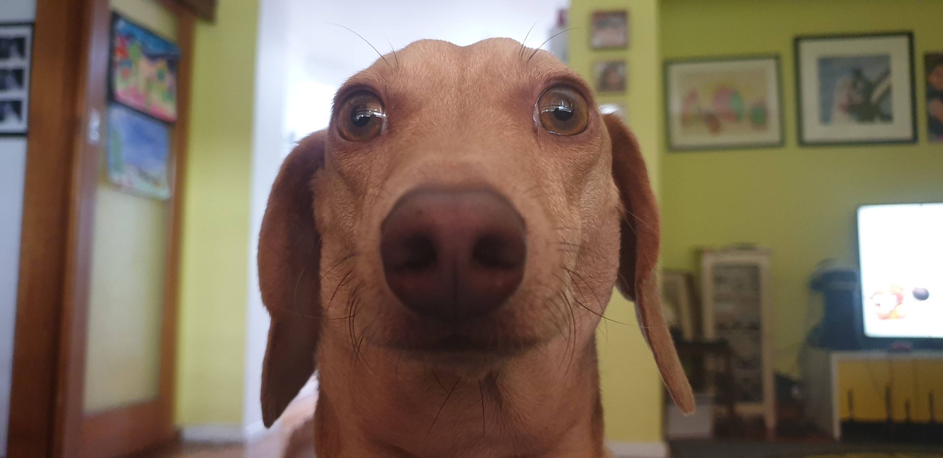 Personal space? What's that mean?