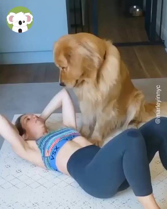 Personal trainer