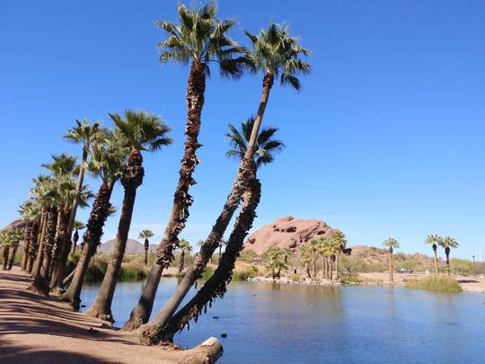 Phoenix, AZ - the only desert I have been to.