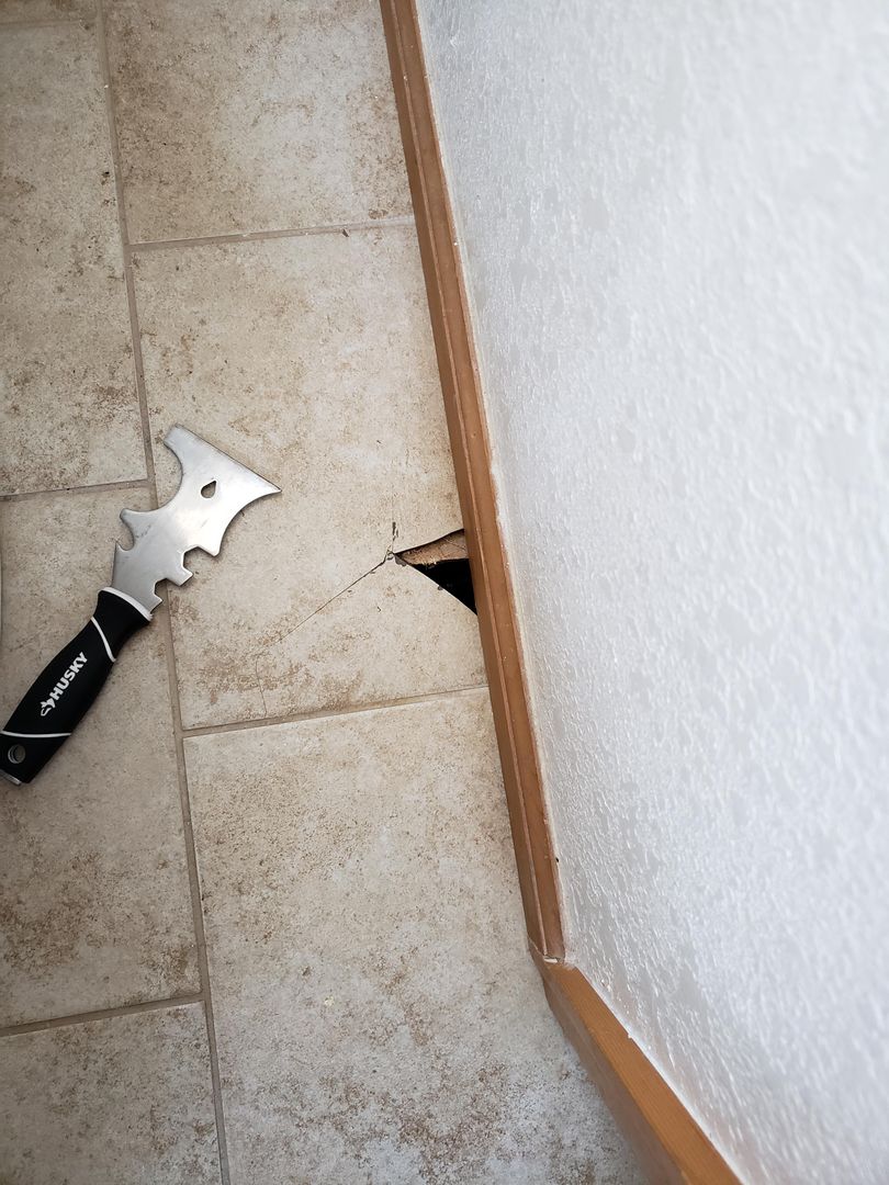 Piece of tile cracked in our bathroom. Pulled it up to get a matching replacement, discovered a hole that leads directly to our crawlspace. Shouldn't there be subfloor under the whole floor? What now? how bad is this going to be?