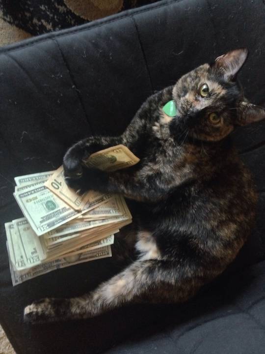 Pimpin' ain't easy, yo.