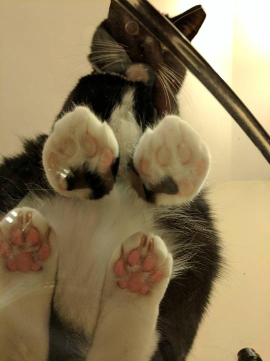 Pinter's feetsies through a glass table