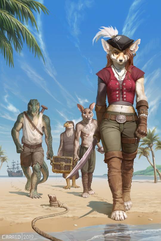 Pirates! by Ilse Gort