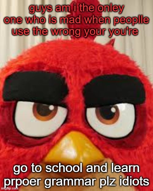 plase use and learnproper gammar it
