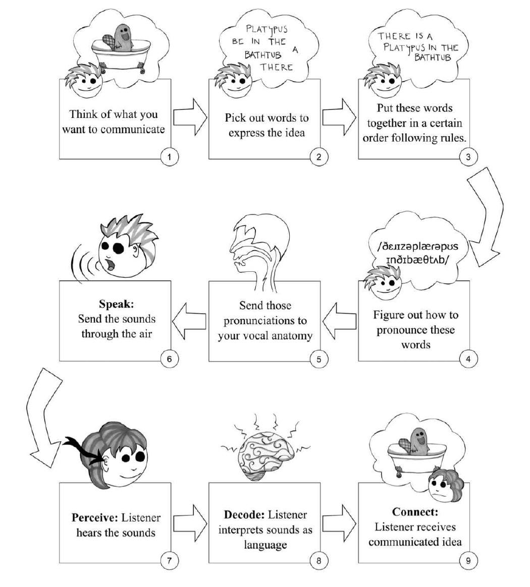 Platypus in a communications textbook