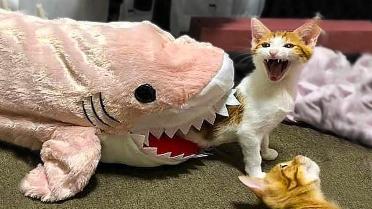 “Please don’t eat me”