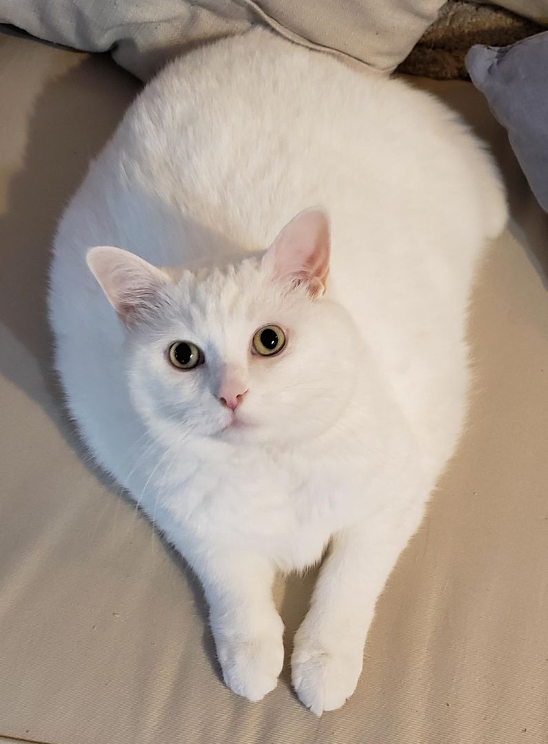 Polly Ptuesday!