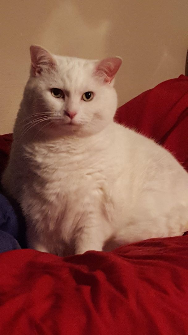 Polly Ptuesday!