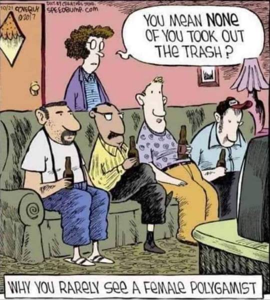 Polygamy meme showing a woman standing behind four men on a couch in a living room with a funny caption.