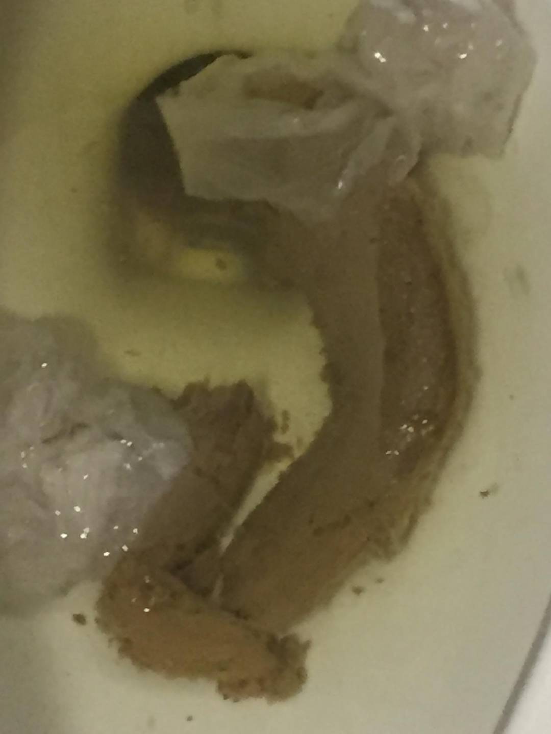 poop in school