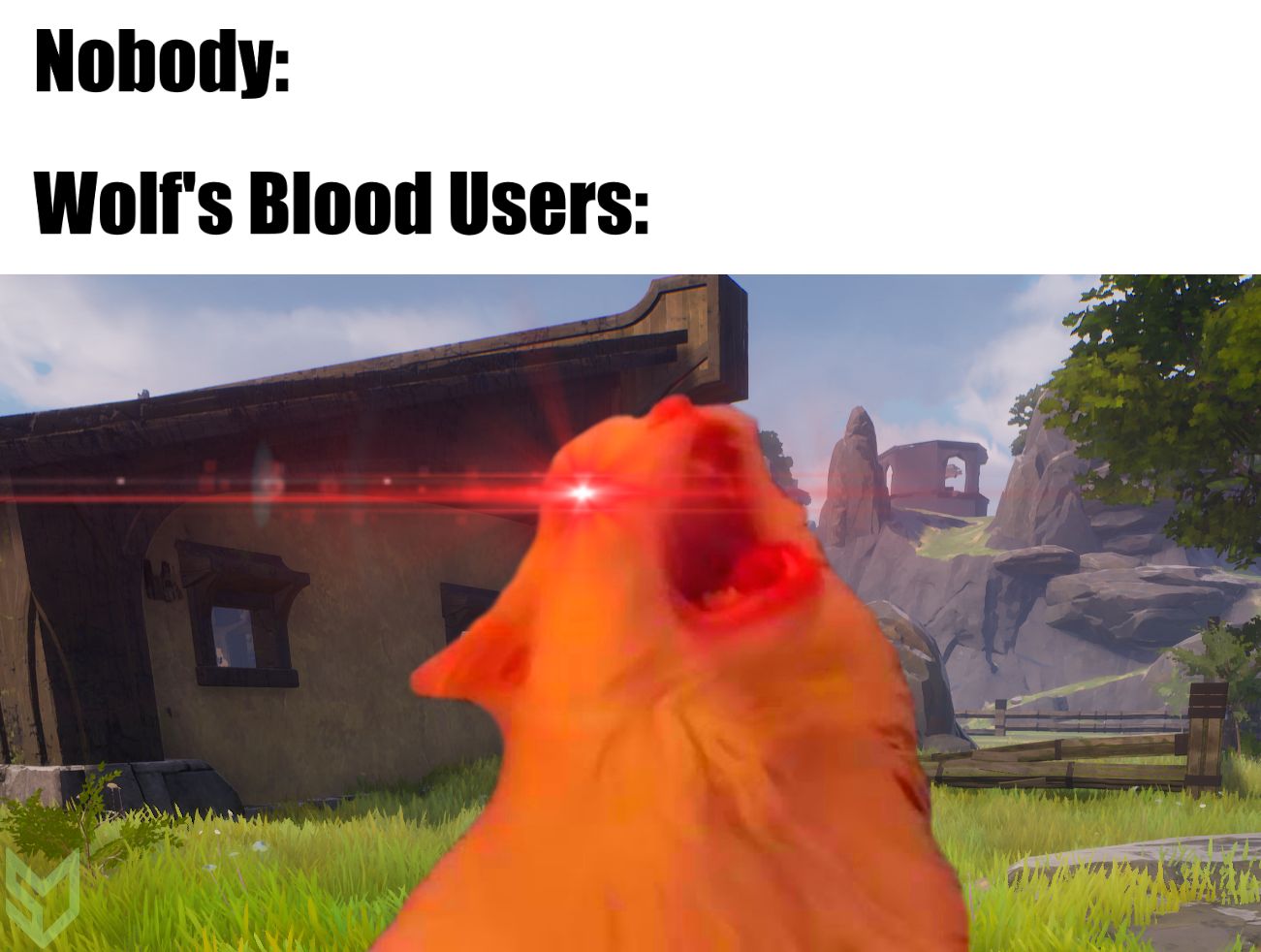 Posting Memes Daily Until Launch [DAY 3] AWOOOOOOOOOOO